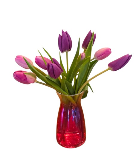 Tulip Twirl is a cheerful bouquet of pink and purple tulips arranged in a pink or rose glass vase. Available in three sizes. A fresh and colorful spring floral gift.