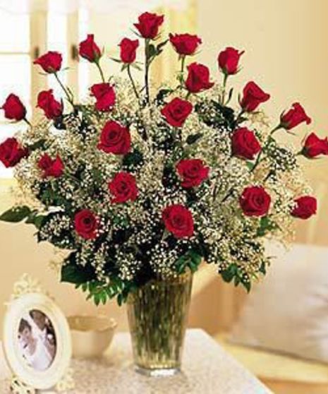 24 Red Roses w/Babies Breath