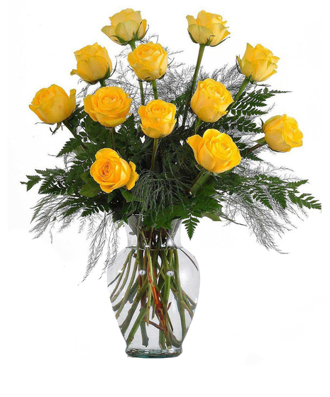 One Dozen Yellow Roses